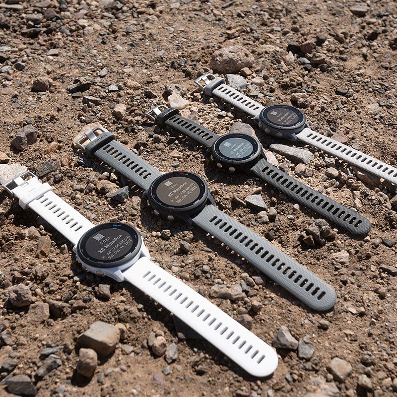 Garmin Forerunner 255 Basic Slate Grey